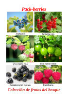 Pack-Berries