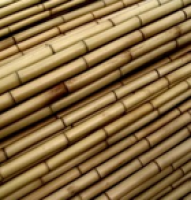 Tutor_60_cm/Seleccion_053
