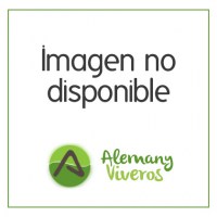 noimagen